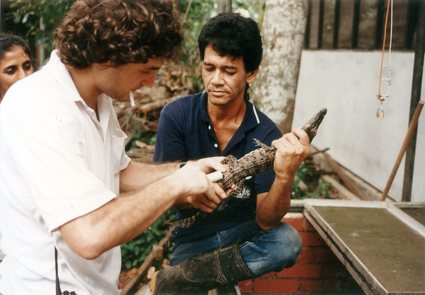 veterinarian treating a crocodilian